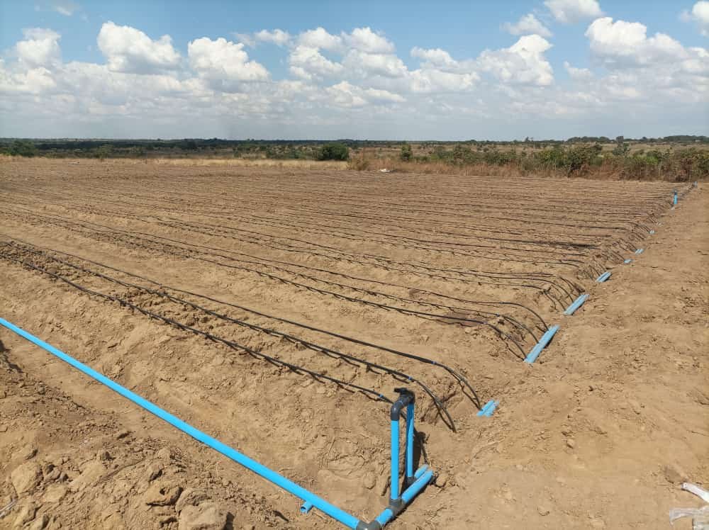 Design and building  of 3HA M’bawa i irrigation scheme in  Zomba District.  Current