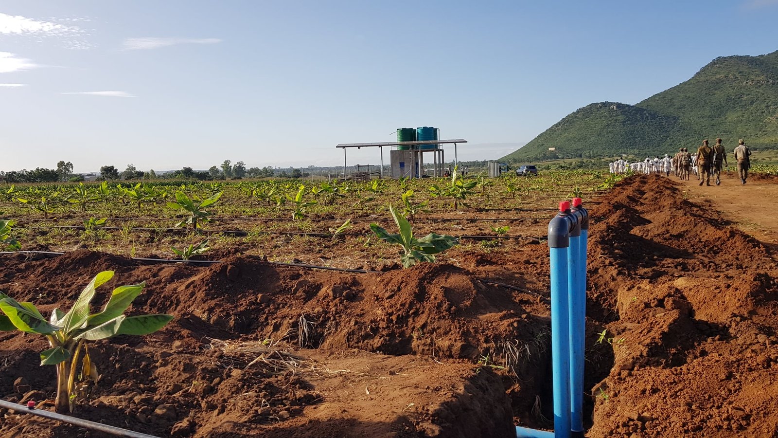 Irrigation System Management